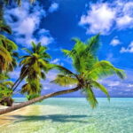 Excellent ocean front 60 room hotel