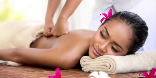 Massage shop spa business for sale busy road